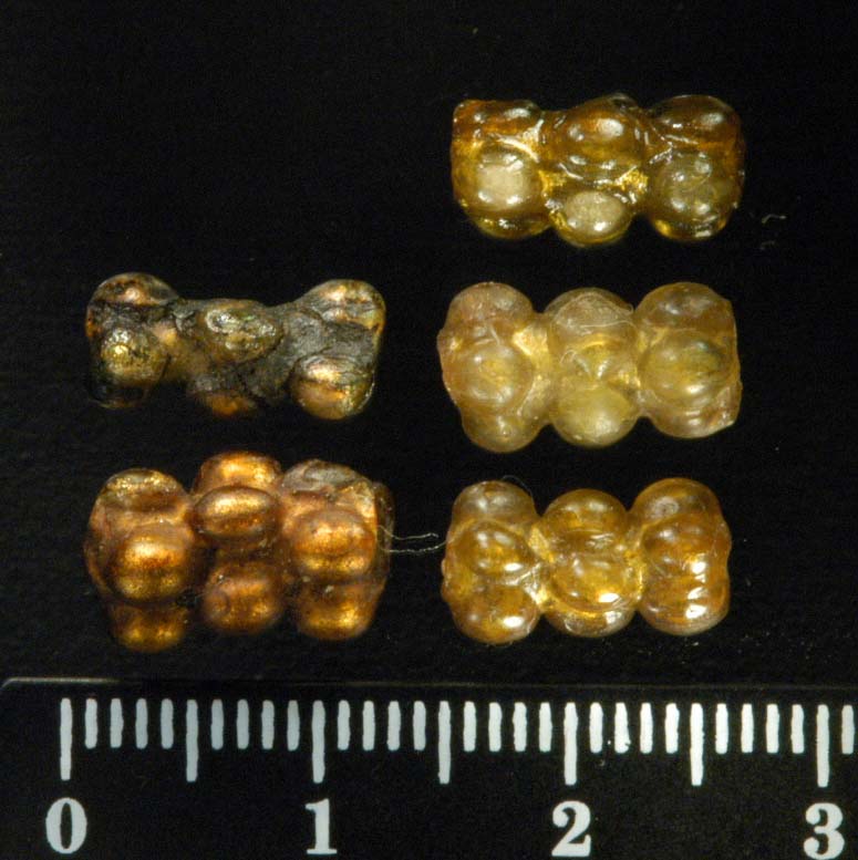 12_Roman_period_64_BC-330_AD_._Granular_gold-glass_beads._Persia_2nd_AD..jpg (113.9 KB)