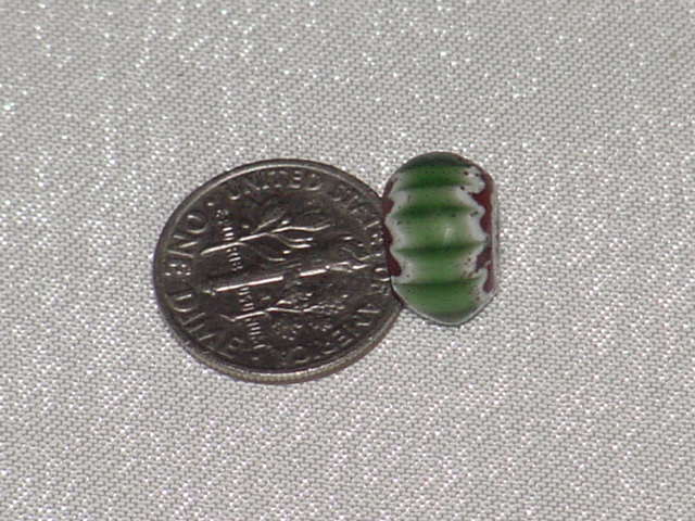 4_DSC00023.JPG (60.0 KB)