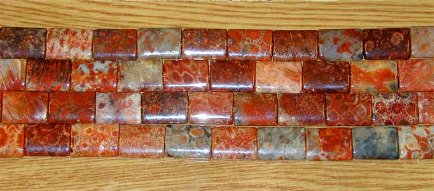 791_BM_fossil_coral.jpg (60.3 KB)