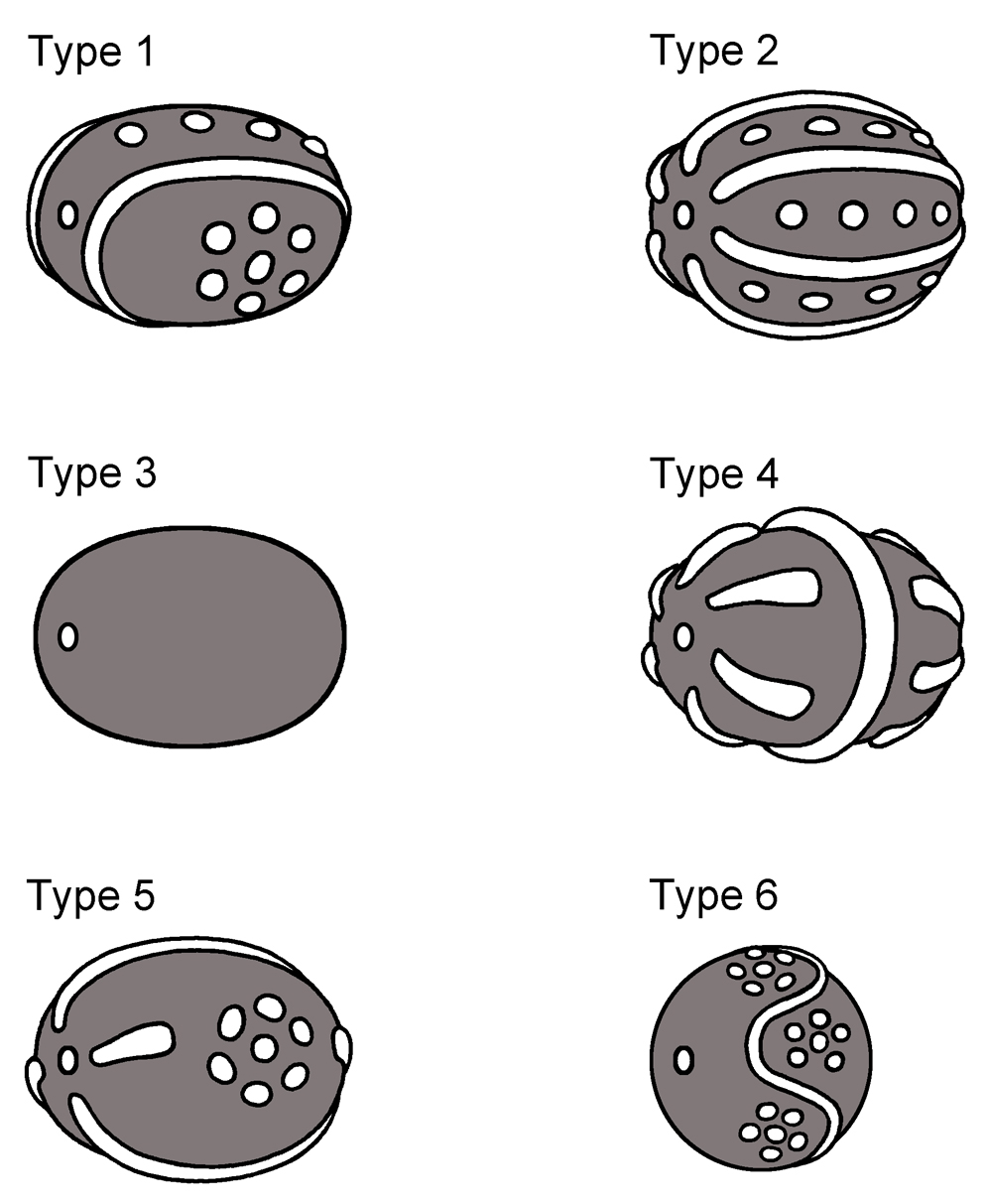 Figure_2_frit_types_X.jpg (255.2 KB)