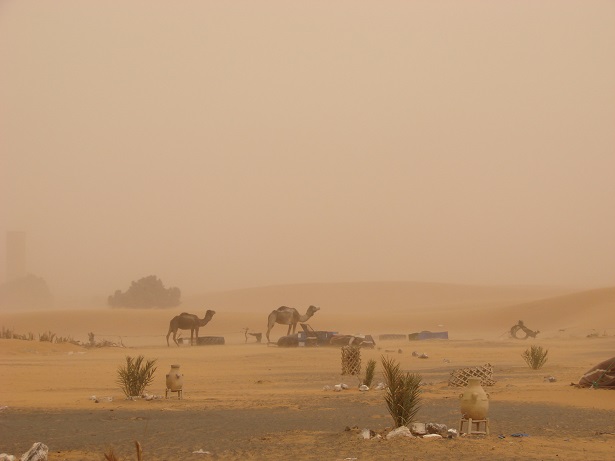 Merzouga,_sandstorm,_January_2014.jpg (46.3 KB)