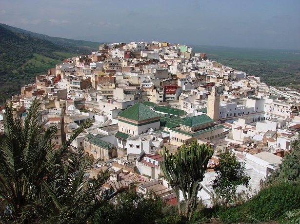 Moulay_Idriss,_the_holy_mosque_with_the_green_roofs.jpg (172.1 KB)