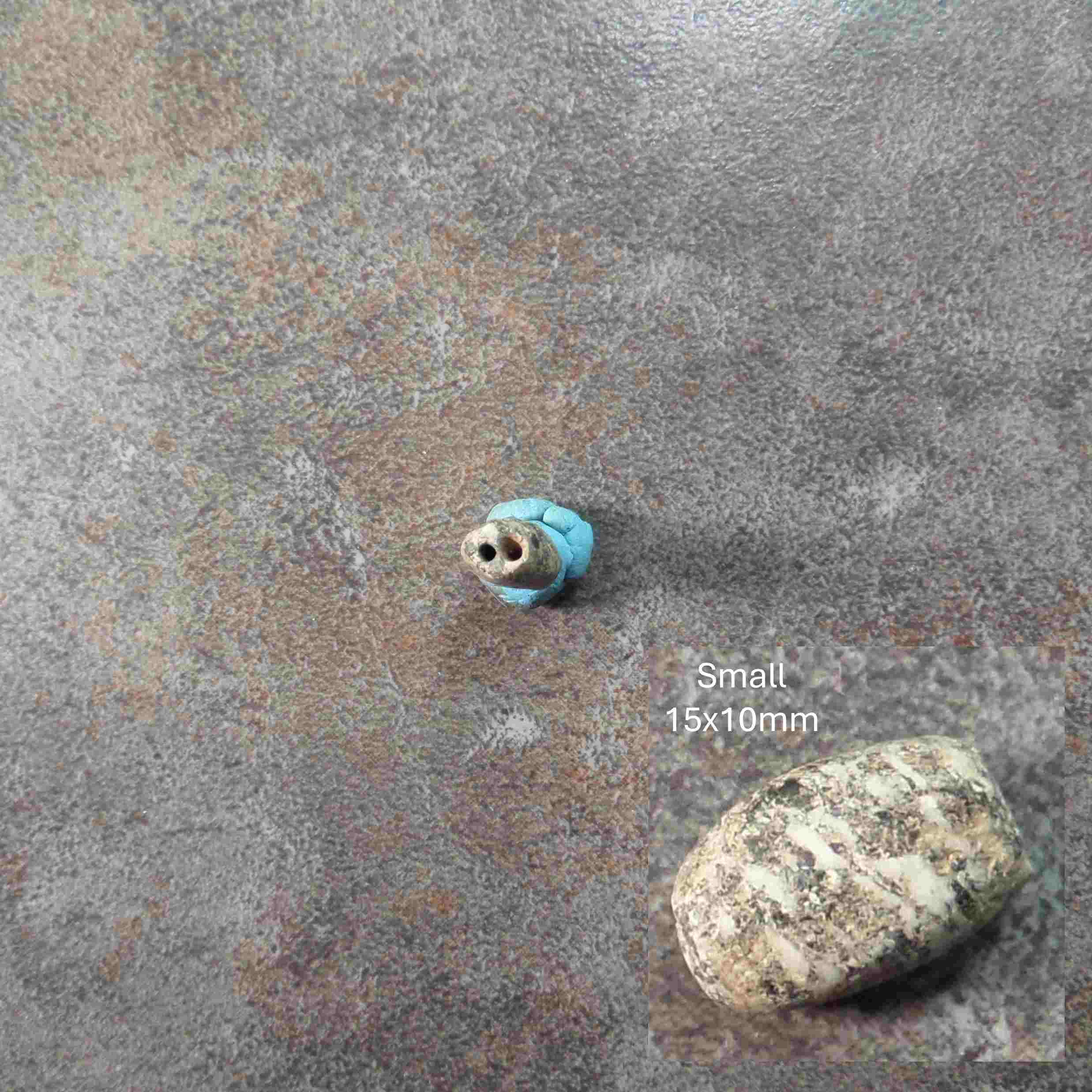 Snout_Bead_BCN.jpg (225.8 KB)