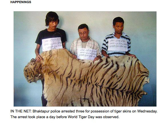 Tiger_poachers_:_Nepal.jpg (116.6 KB)