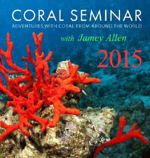 image-for-coral-seminar.jpg (22.8 KB)